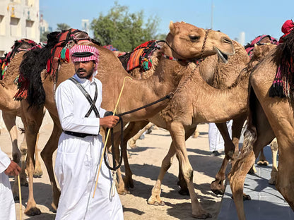 Doha: Zekreet, Kamelrennbahn und Richard Serra Tour