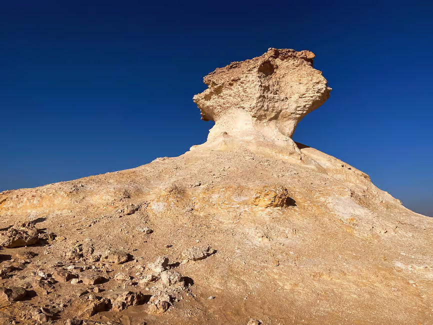 Doha: Zekreet, Kamelrennbahn und Richard Serra Tour