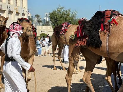 Doha: Zekreet, Kamelrennbahn und Richard Serra Tour