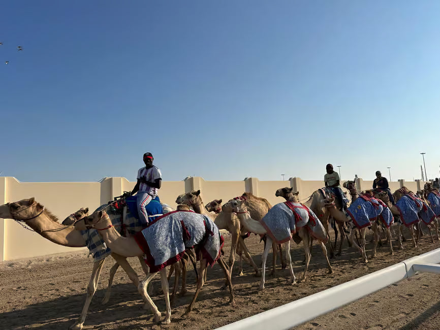 Doha: Zekreet, Kamelrennbahn und Richard Serra Tour