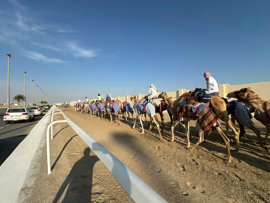 Doha: Zekreet, Kamelrennbahn und Richard Serra Tour