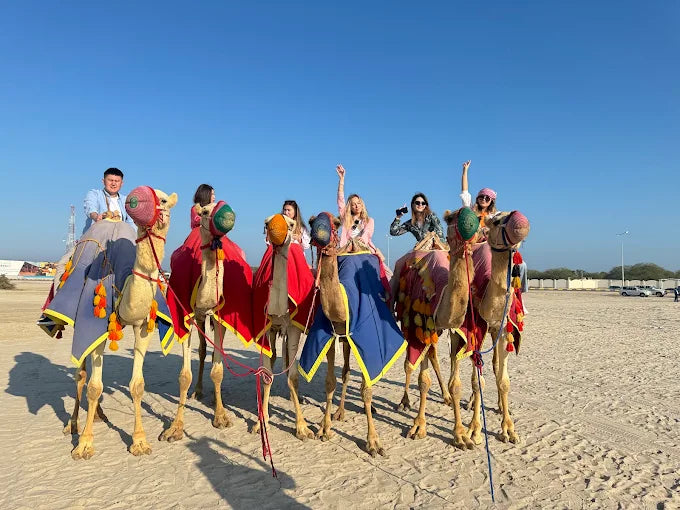 Doha: Combinatie Privé Woestijnsafari en Stadsrondleiding