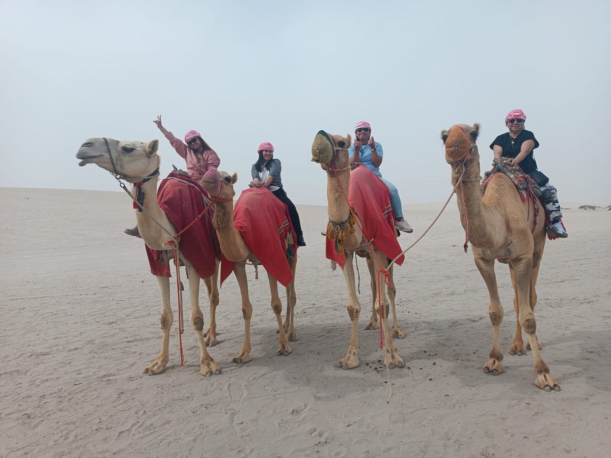 Doha: Ganztägige Wüstensafari mit Dünenfahrt und Mittag- oder Abendessen
