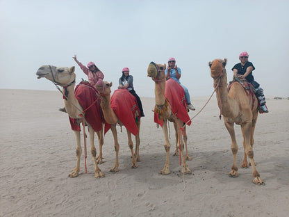 Doha: Ganztägige Wüstensafari mit Dünenfahrt und Mittag- oder Abendessen