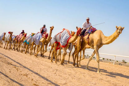 Doha : Balade en buggy privé, balade à dos de chameau et safari dans le désert
