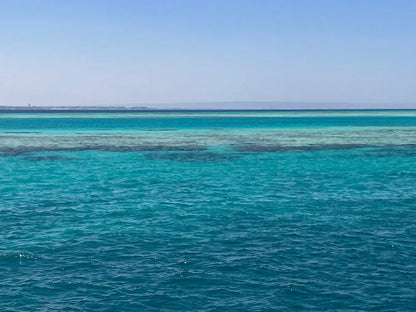 サファガ発: イルカツアーとシュノーケリング、バナナボート