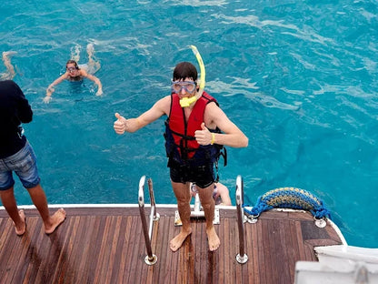 サファガ発: イルカツアーとシュノーケリング、バナナボート