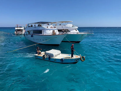 サファガ発: イルカツアーとシュノーケリング、バナナボート