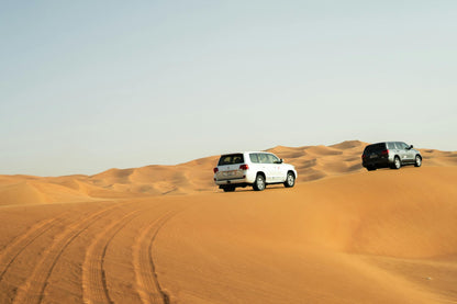Dubai: Evening Desert Safari with Dune Bashing, Camel Ride and BBQ Dinner