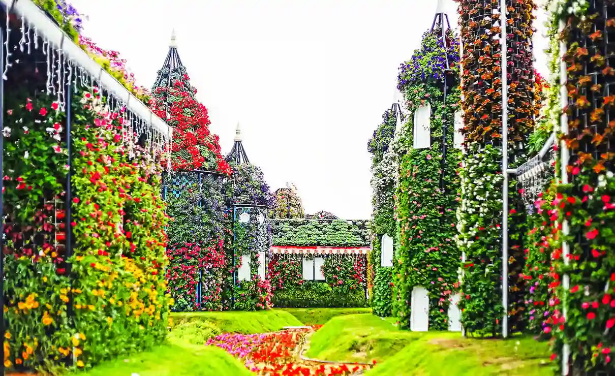 迪拜：奇迹花园和蝴蝶花园半日游