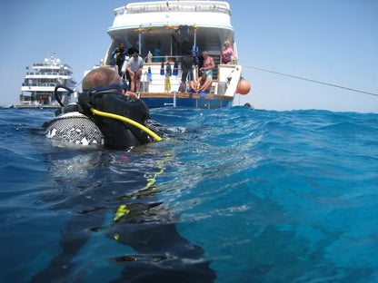 El Gouna: Discover Scuba Diving Boat Trip