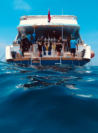 艾尔古纳：半日浮潜之旅