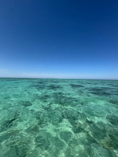 艾尔古纳：半日浮潜之旅