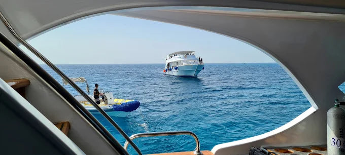 艾尔古纳：半日浮潜之旅