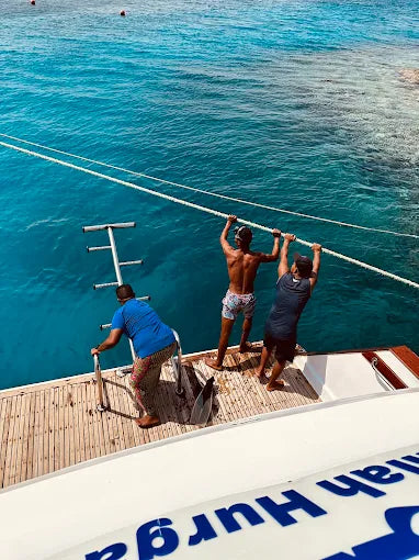 艾尔古纳：半日浮潜之旅