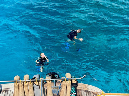 El Gouna : Excursion d'une journée de snorkeling