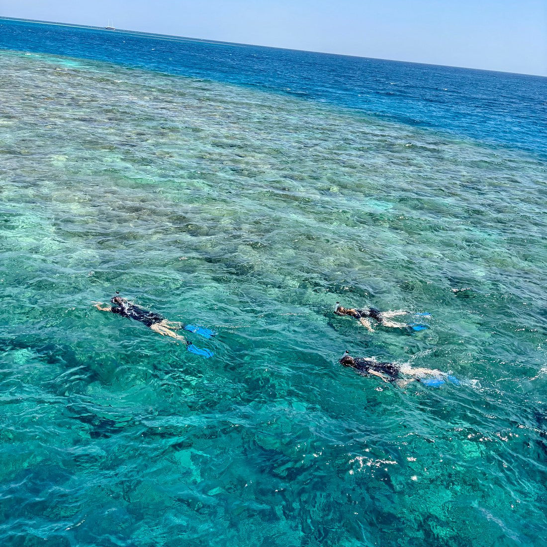 El Gouna : Excursion d'une journée de snorkeling