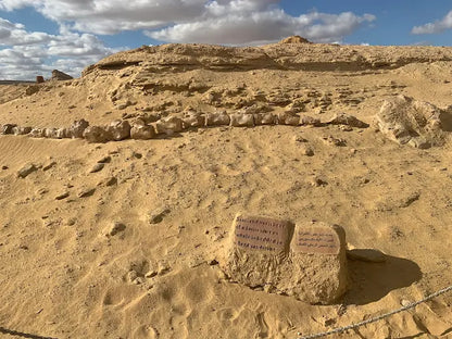 From Cairo: El Fayoum 4x4 Desert Safari and Highlights Guided Tour