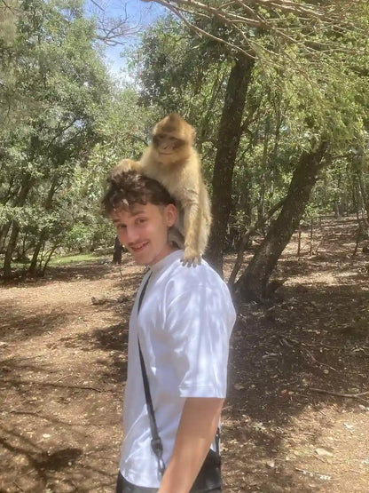 Fez: Middle Atlas, Ifrane and Azrou Day Trip