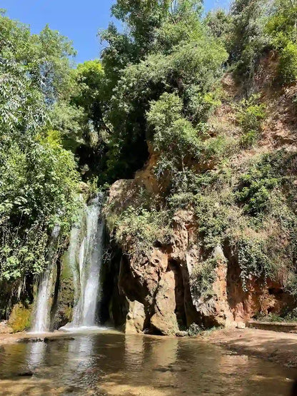 Fez: Middle Atlas, Ifrane and Azrou Day Trip