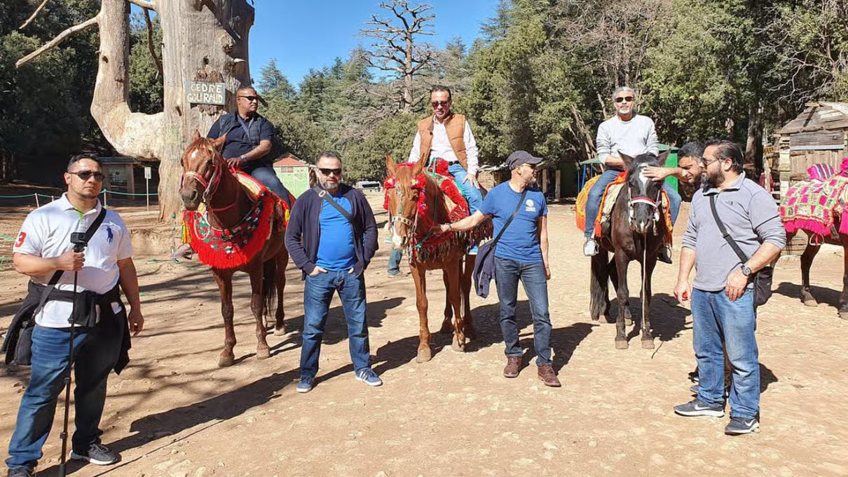 Fez: Middle Atlas, Ifrane and Azrou Day Trip