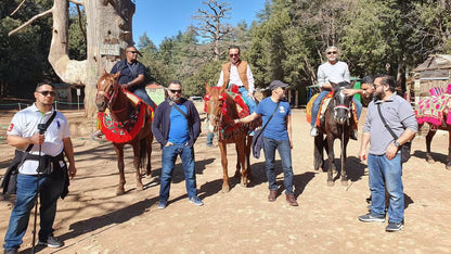 Fez: Middle Atlas, Ifrane and Azrou Day Trip