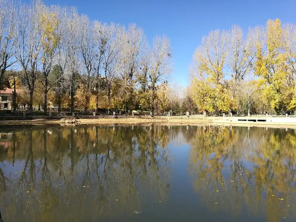 Fez: Middle Atlas, Ifrane and Azrou Day Trip