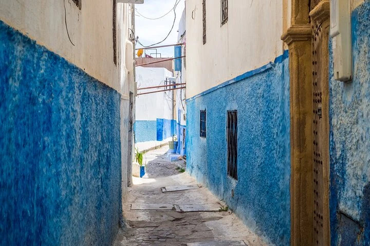From Fès : excursion d’une journée pour visiter Chefchaouen et faire du sightseeing en ville