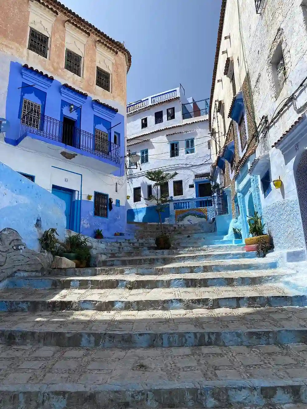 From Fès : excursion d’une journée pour visiter Chefchaouen et faire du sightseeing en ville