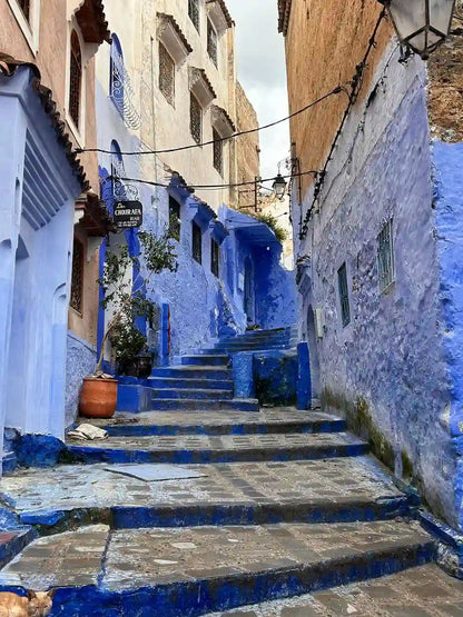 From Fès : excursion d’une journée pour visiter Chefchaouen et faire du sightseeing en ville