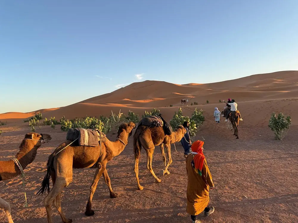 From Fès : circuit de 3 jours dans le désert du Sahara avec balade à dos de chameau et nuit en camp