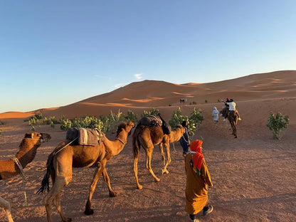From Fès : circuit de 3 jours dans le désert du Sahara avec balade à dos de chameau et nuit en camp