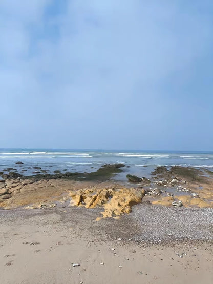 From Agadir: Kum Sörfü ve Deve Gezintili Çöl Turu