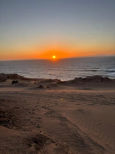 From Agadir: Kum Sörfü ve Deve Gezintili Çöl Turu
