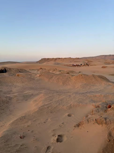 From Agadir: Kum Sörfü ve Deve Gezintili Çöl Turu