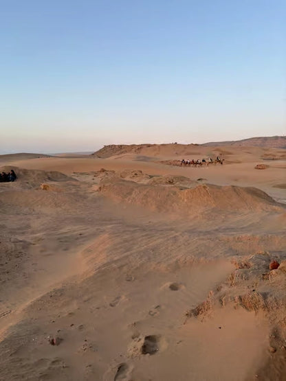 From Agadir: Kum Sörfü ve Deve Gezintili Çöl Turu
