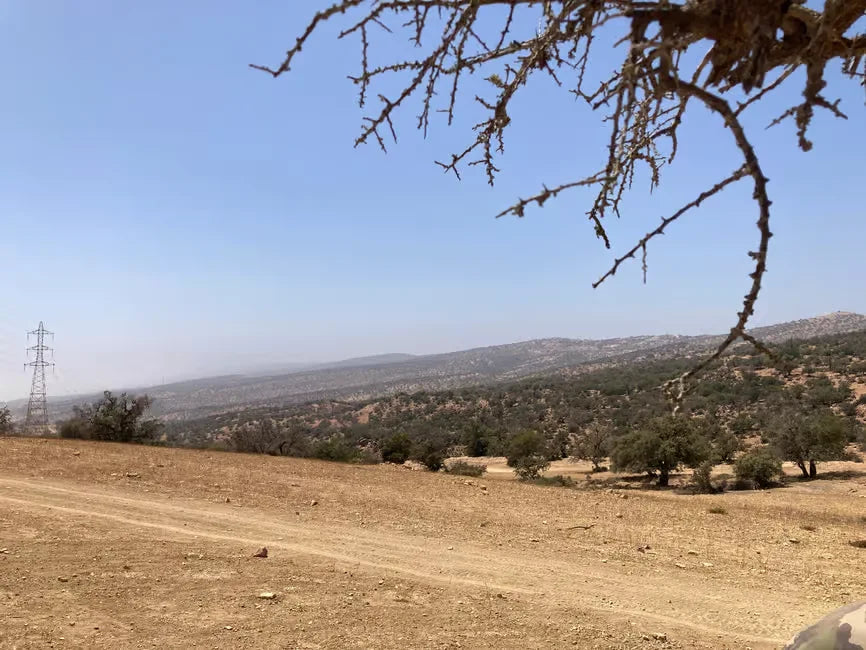 From Agadir: Kum Sörfü ve Deve Gezintili Çöl Turu