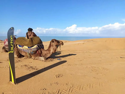 From Agadir: Kum Sörfü ve Deve Gezintili Çöl Turu