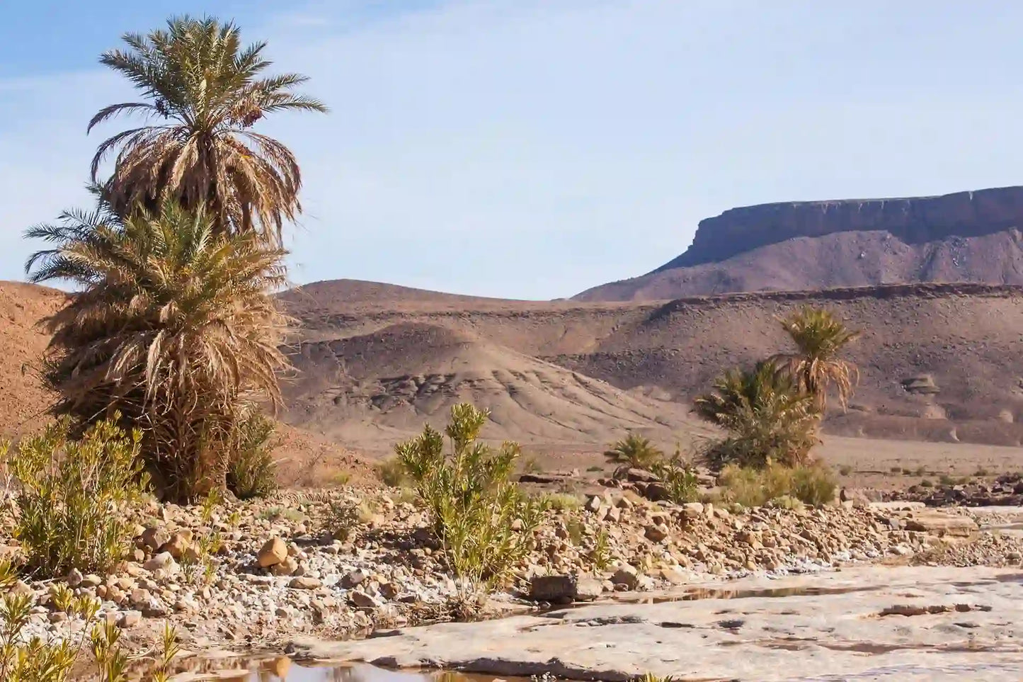 From Agadir: excursión privada de 2 días al desierto del Sahara de Zagora