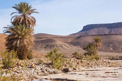 From Agadir: excursión privada de 2 días al desierto del Sahara de Zagora