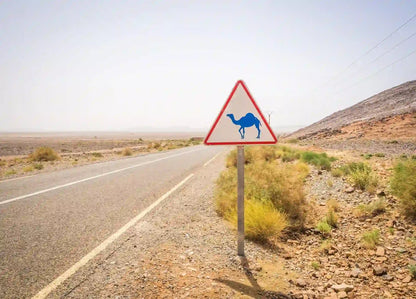 From Agadir: excursión privada de 2 días al desierto del Sahara de Zagora