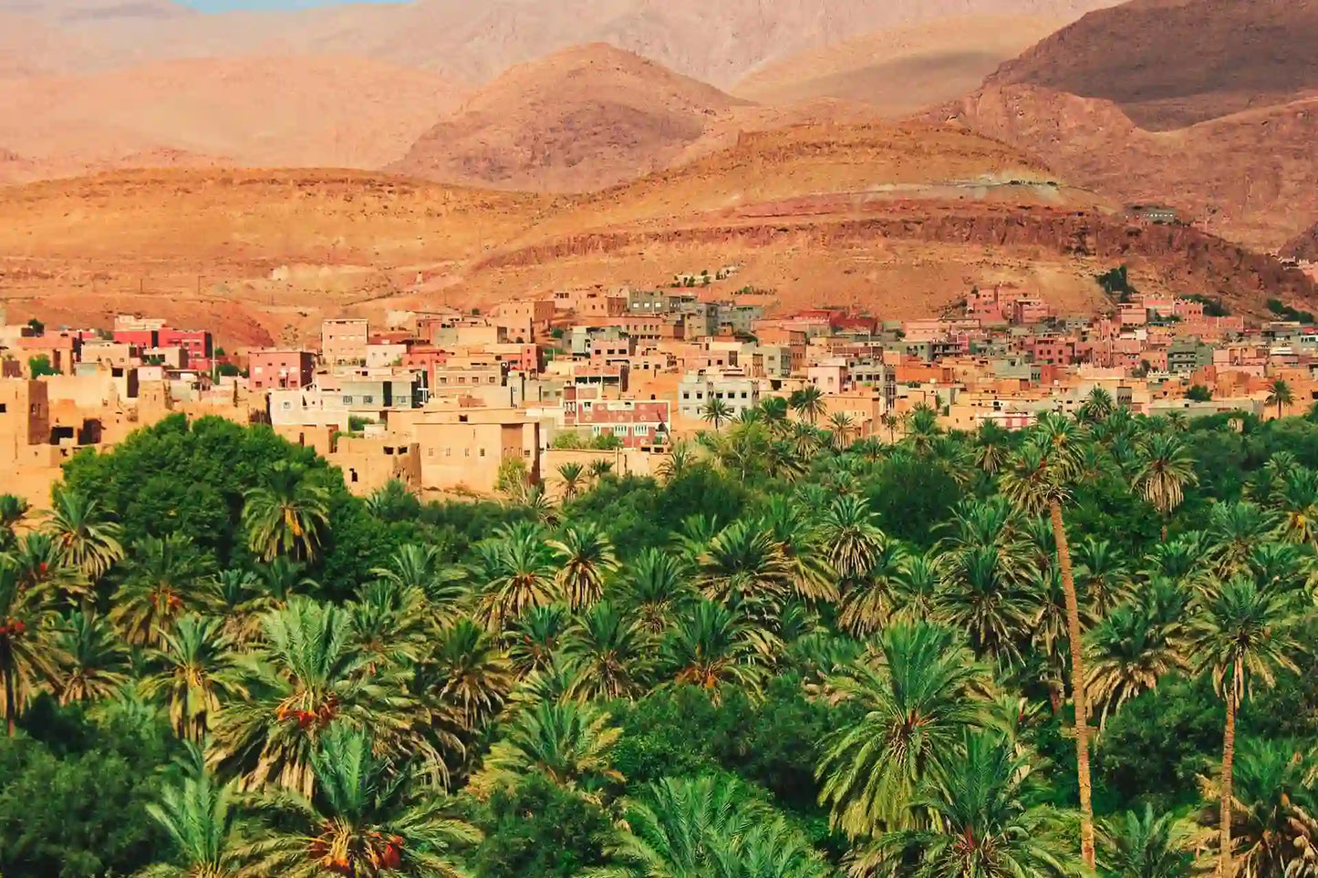 From Agadir: excursión privada de 2 días al desierto del Sahara de Zagora