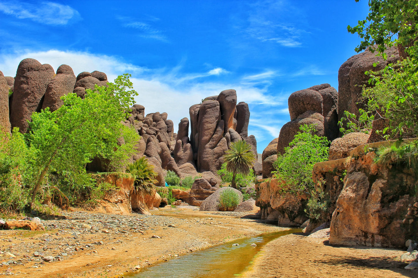 From Agadir: excursión privada de 2 días al desierto del Sahara de Zagora