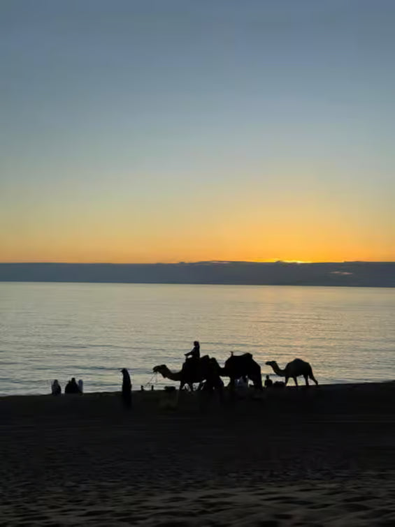 From Agadir: Sandboarding and Optional Camel Ride Guided Tour