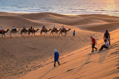 From Agadir: Sandboarding and Optional Camel Ride Guided Tour
