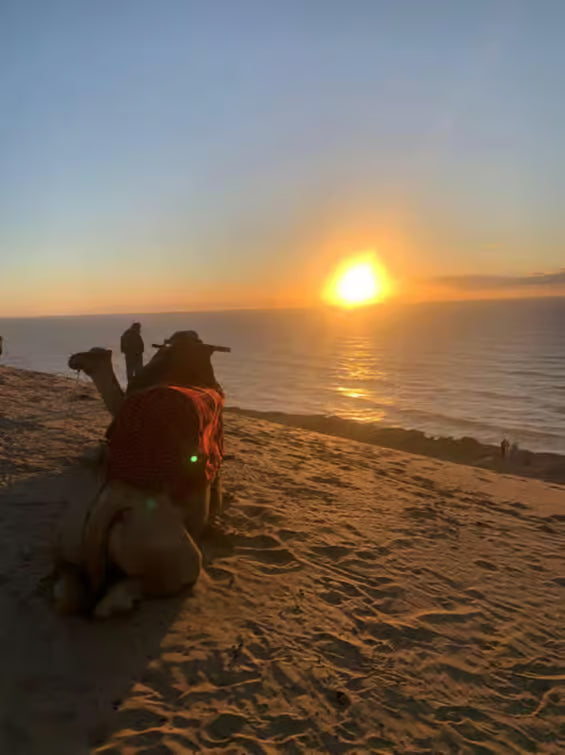From Agadir: Sandboarding and Optional Camel Ride Guided Tour