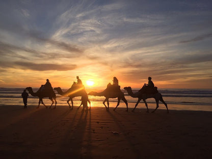 Agadir: Hidden Canyon and Akgroud Village Guided Tour with Optional Camel Ride