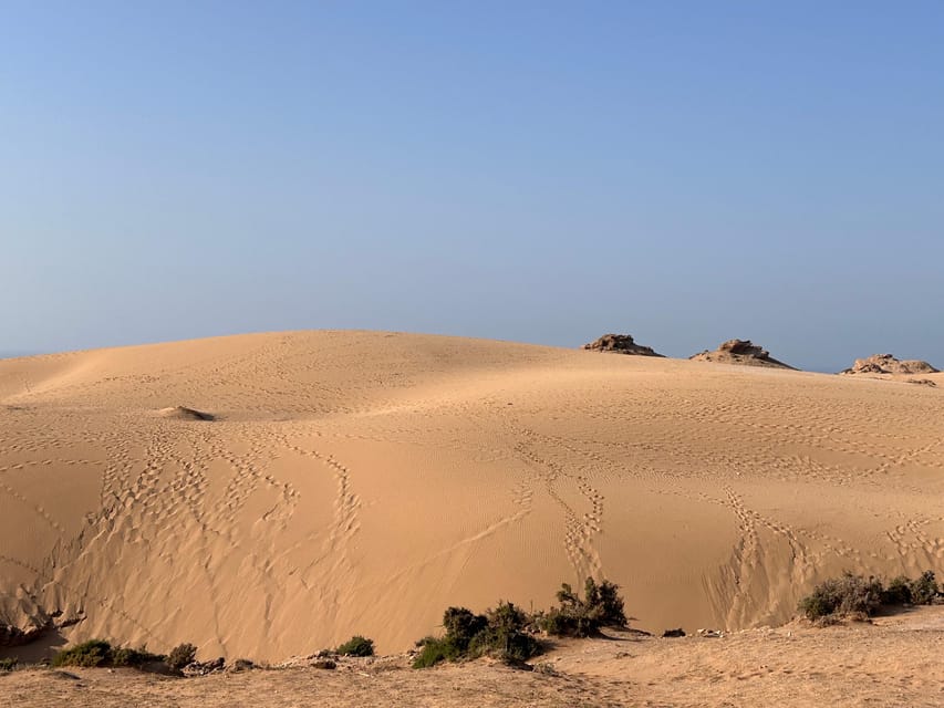 Agadir'den: Kum Sörfü ve Timlalin Kumulları Turu