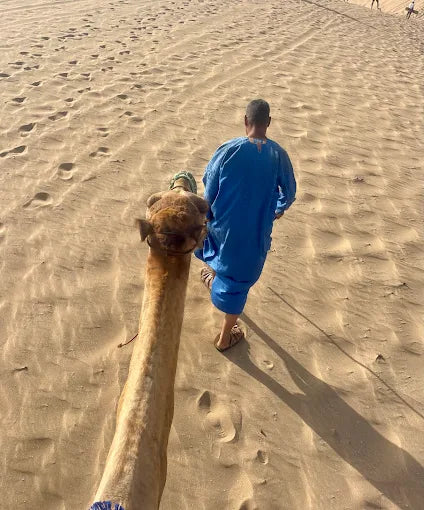 From Agadir: tour de sandboard y dunas de Timlalin con paseo en camello opcional