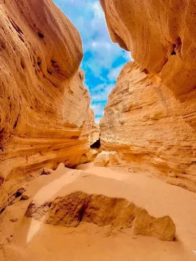 From Agadir and Taghazout: Timlalin Sandboarding and Canyon Tour